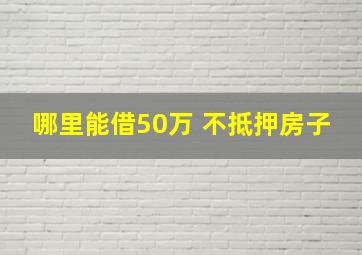 哪里能借50万 不抵押房子